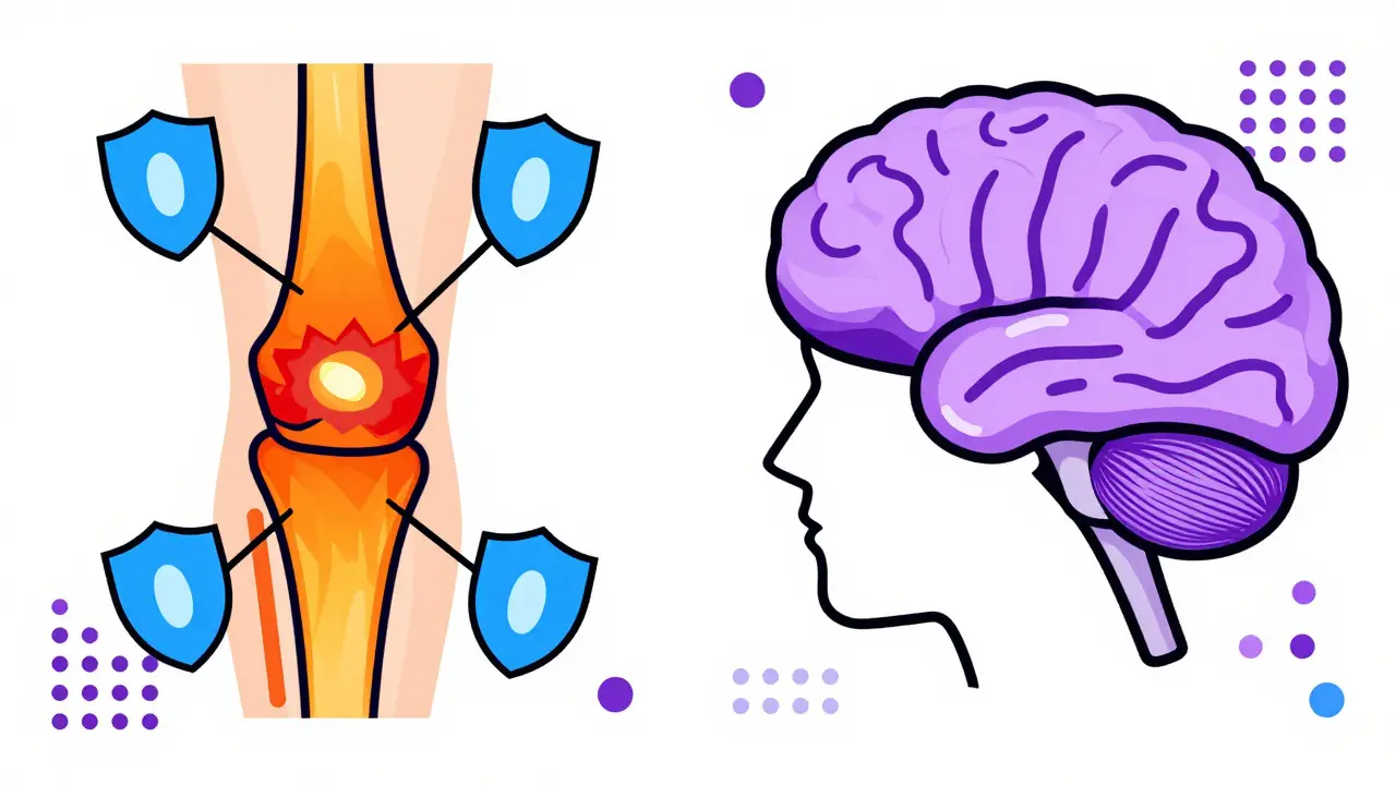Stylized comparison of anti-inflammatory vs central pain relief mechanisms